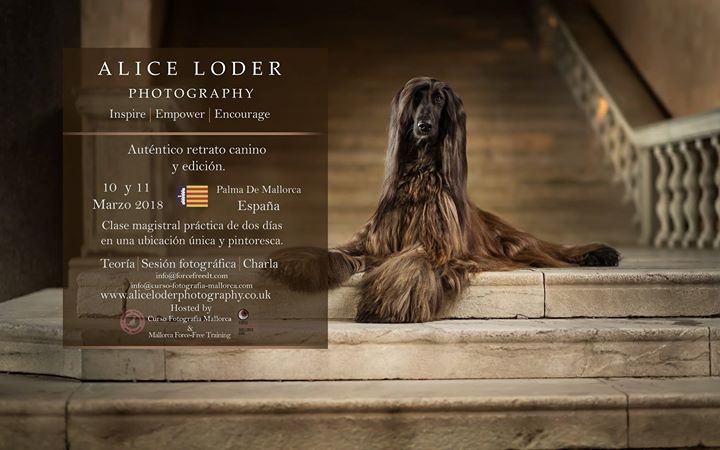 Alice-Loder-en-curso-fotografia-mallorca